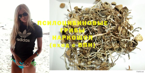 ешки Абинск